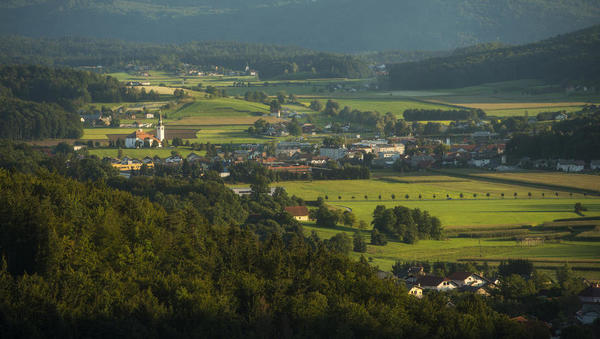 slika novice