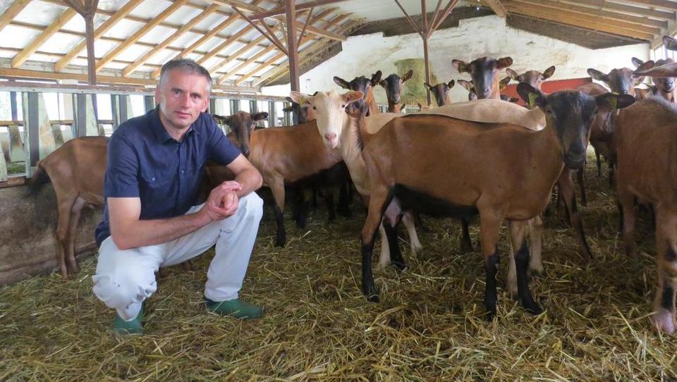 Zvezda Agrobiznisa 2016: Kmetija Videc raste s kozjimi siri