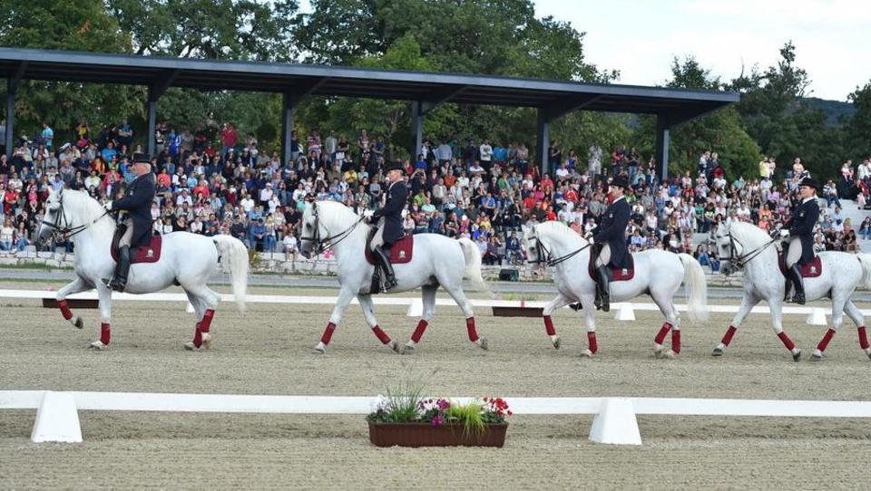 Je država v Lipici nategnila delavce? Počivalškovi pravijo, da ne;...