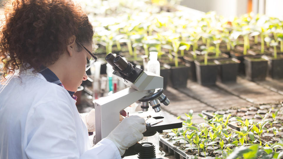 Kmetijske znanosti v Sloveniji na pragu odličnosti