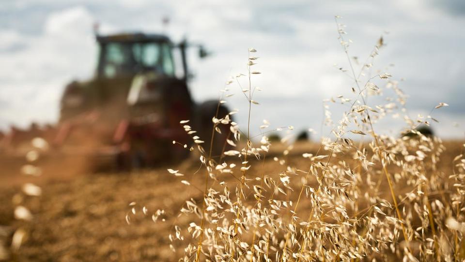 Kako od Sklada kmetijskih zemljišč in gozdov RS najamete zemljišče