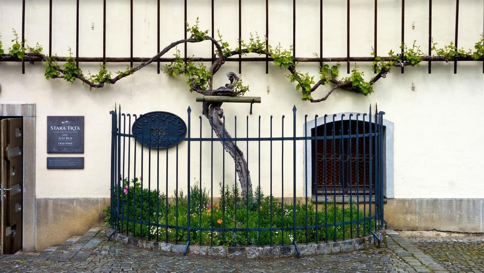 V čem smo »naj« na svetu - in kako to dopovedati turistom